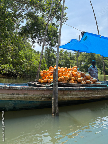 kerala god's own country