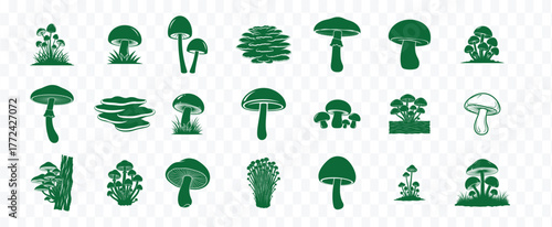 Collection of hand drawn green mushroom illustrations in various unique styles and shapes on a transparent background