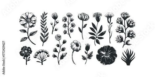 Collection of Hand Drawn Floral Elements
