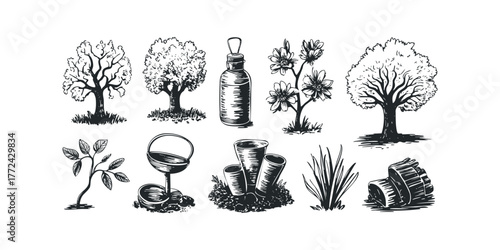 Collection of botanical and garden sketch elements