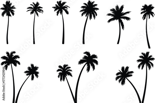 Flat vector silhouette set of 9 palm trees, black tropical tree shapes with curved trunks, fronds, isolated for design use