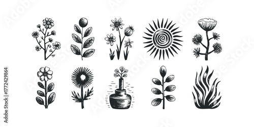 Collection of hand drawn botanical and celestial graphic elements