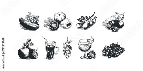 Fresh Produce and Beverages Collection Sketch