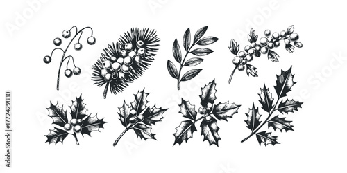 Black and white sketch of assorted winter botanicals