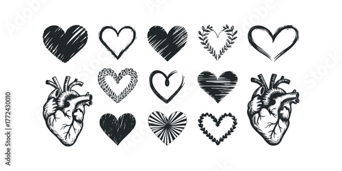 Set of Hand Drawn Heart Shapes and Anatomical Heart Illustration