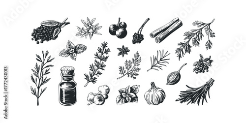 Herbal botanical elements and spices with bottle