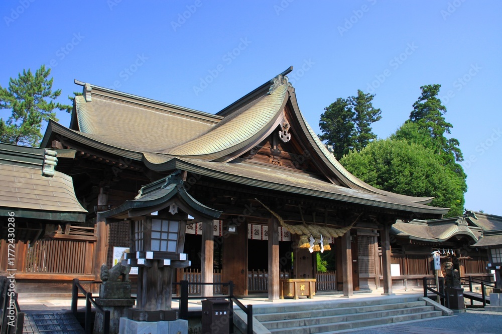 Fototapeta premium 阿蘇神社