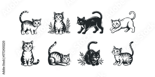 Group of cats in various poses, black and white sketch