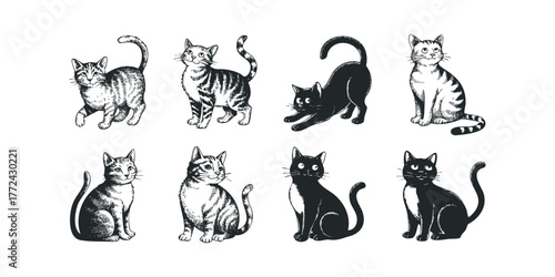 Collection of eight sketched cats in various poses