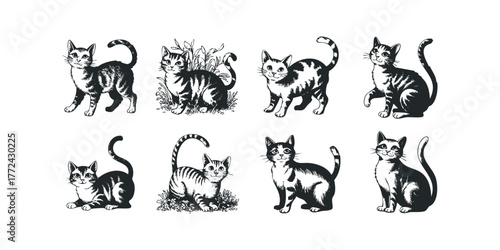 Set of playful tabby kittens in various poses