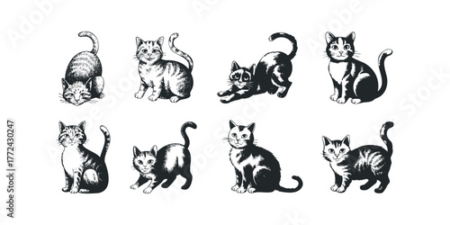 Collection of eight stylized cat drawings in various poses