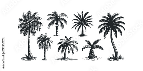 Collection of diverse palm tree silhouettes