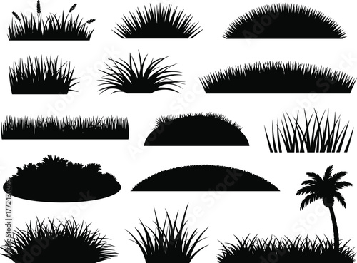 Flat vector silhouette set of grass clumps and one palm tree, black isolated botanical shapes for nature, landscape, design, illustration