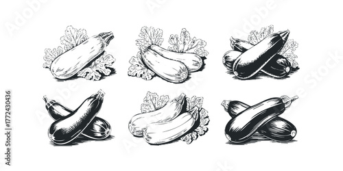 Six Black and White Zucchini and Leaf Groupings