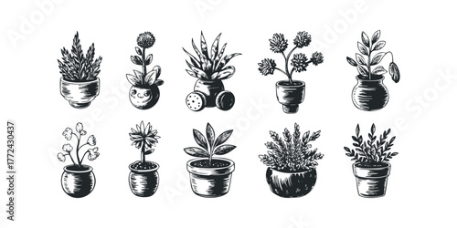 Collection of Potted Plants in Sketch Style