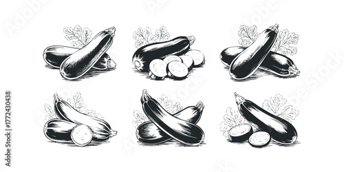 Six arrangements of sketched zucchini with leaves