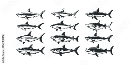 Collection of twelve unique shark drawings in monochrome