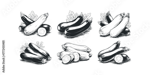 Collection of Fresh Eggplants and Zucchini with Leaves