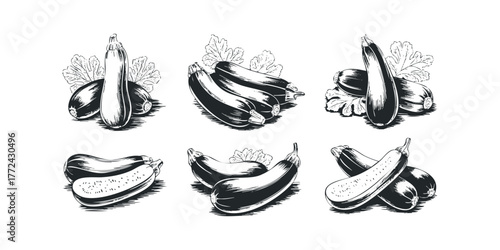 Six monochrome illustrations of vegetables with leafy greens