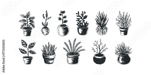 Collection of Potted Houseplants in Monochrome Sketch Style