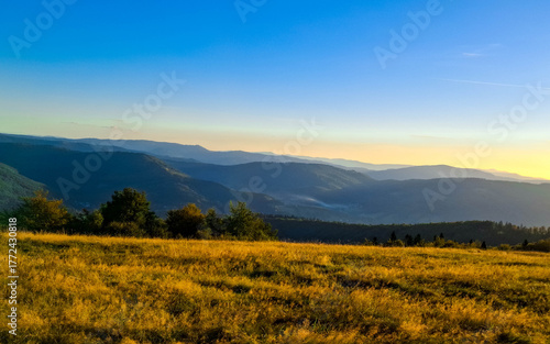 Fototapeta Naklejka Na Ścianę i Meble -  Meadow on a Blotnia Mountain. Beskides.