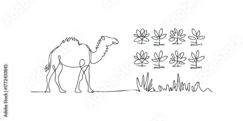 Continuous Line Drawing of Camel and Desert Plants
