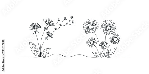Minimalist continuous line drawing of dandelions blowing in wind