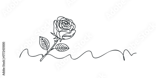 Minimalist continuous line drawing of a single rose