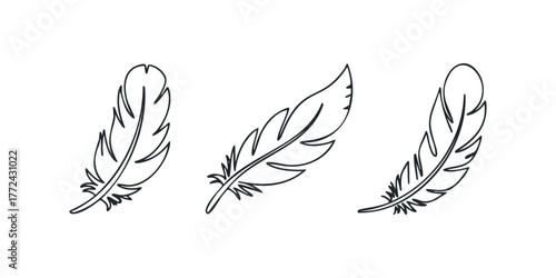 Three outline drawings of feathers