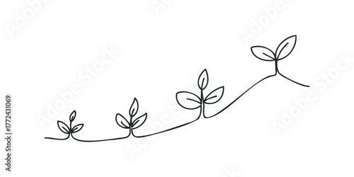 Four growing sprouts in ascending order