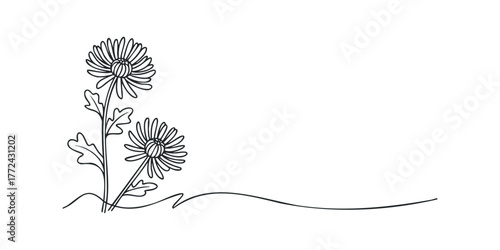 Minimalist Line Art of Two Chrysanthemums on Wavy Ground