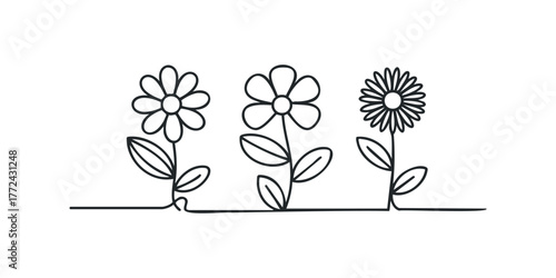 Three simple line art flowers growing from a continuous line