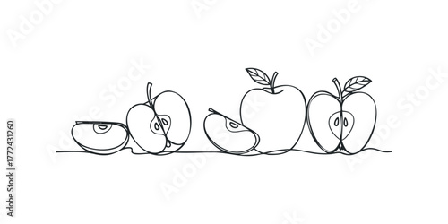 Continuous line drawing of various apple slices and whole fruit