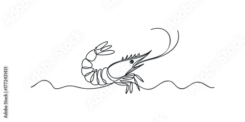 Continuous line drawing of a shrimp in water