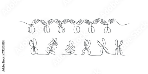 DNA and Chromosome Line Art