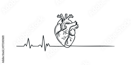 Line art human heart with electrocardiogram wave