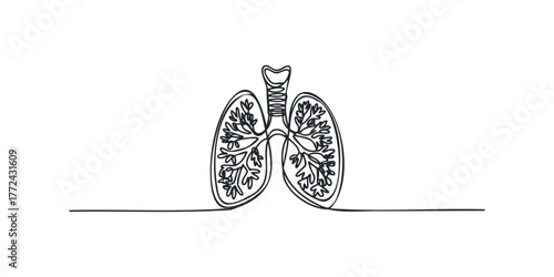 Abstract Continuous Line Drawing of Human Lungs
