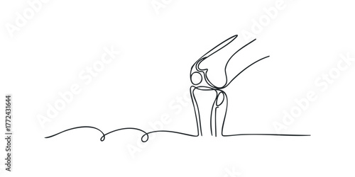 Single line drawing of a human knee joint
