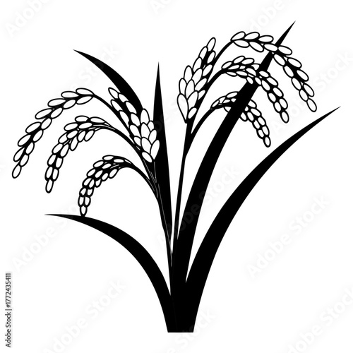 Black and White Rice Plant Vector Illustration. Agricultural Grain Crop Design.