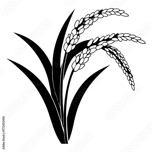 Black and White Rice Plant Vector Illustration. Agricultural Grain Crop Design.