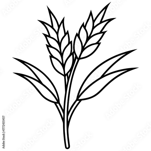 Black and White Rice Plant Vector Illustration. Agricultural Grain Crop Design.