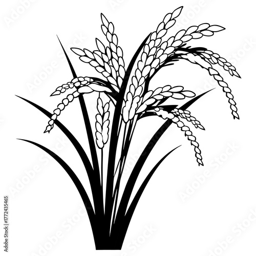 Black and White Rice Plant Vector Illustration. Agricultural Grain Crop Design.