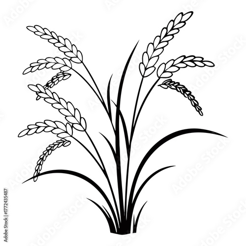 Black and White Rice Plant Vector Illustration. Agricultural Grain Crop Design.