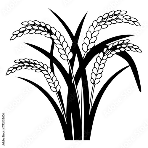 Black and White Rice Plant Vector Illustration. Agricultural Grain Crop Design.
