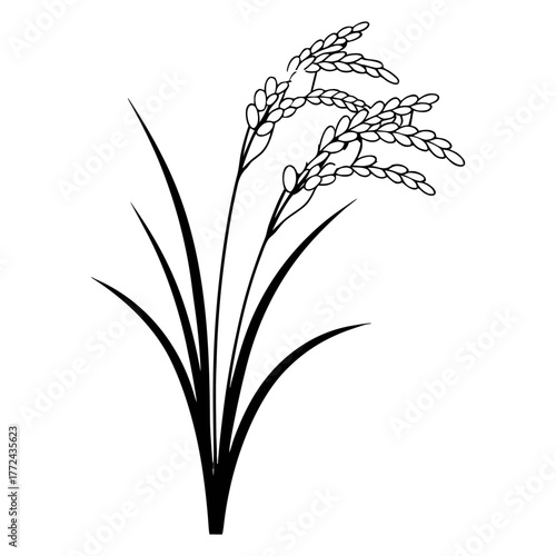 Black and White Rice Plant Vector Illustration. Agricultural Grain Crop Design.