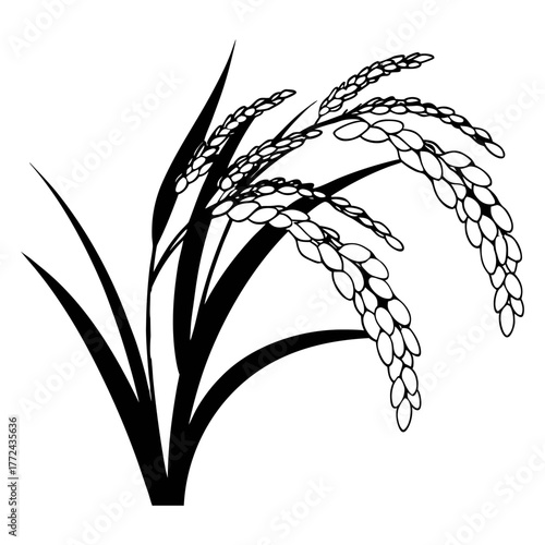 Black and White Rice Plant Vector Illustration. Agricultural Grain Crop Design.