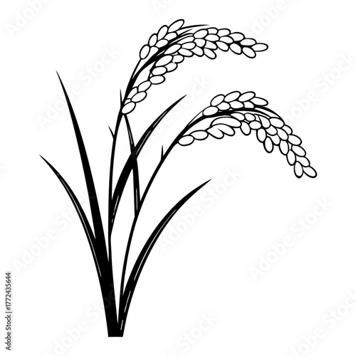 Black and White Rice Plant Vector Illustration. Agricultural Grain Crop Design.
