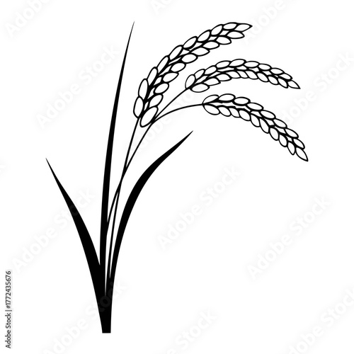 Black and White Rice Plant Vector Illustration. Agricultural Grain Crop Design.