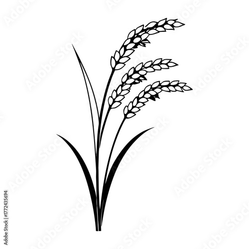 Black and White Rice Plant Vector Illustration. Agricultural Grain Crop Design.