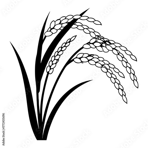 Black and White Rice Plant Vector Illustration. Agricultural Grain Crop Design.